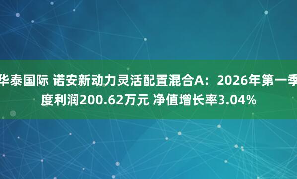 华泰国际 诺安新动力灵活配置混合A：2026年第一季度利润200.62万元 净值增长率3.04%